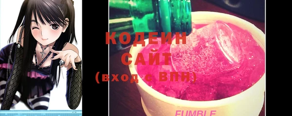 бошки Инта