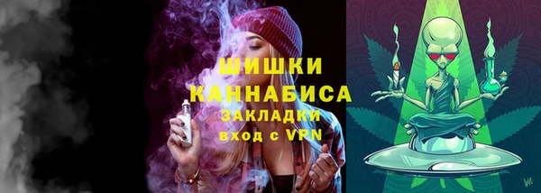 хмурый Каменногорск
