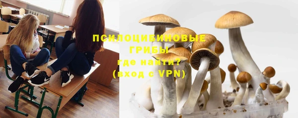 хмурый Каменногорск