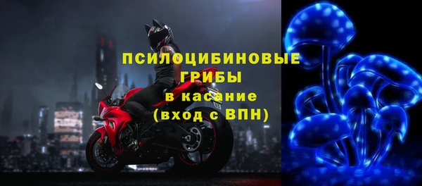 хмурый Каменногорск