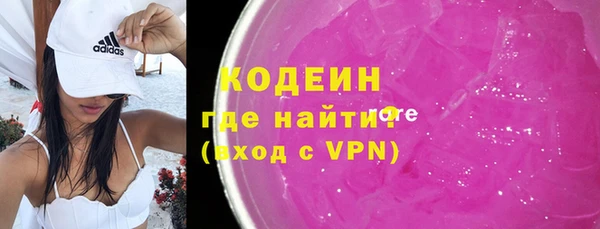 хмурый Каменногорск