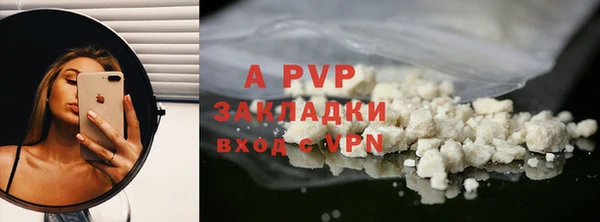 хмурый Каменногорск