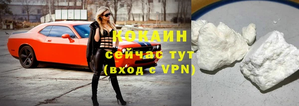 бошки Инта