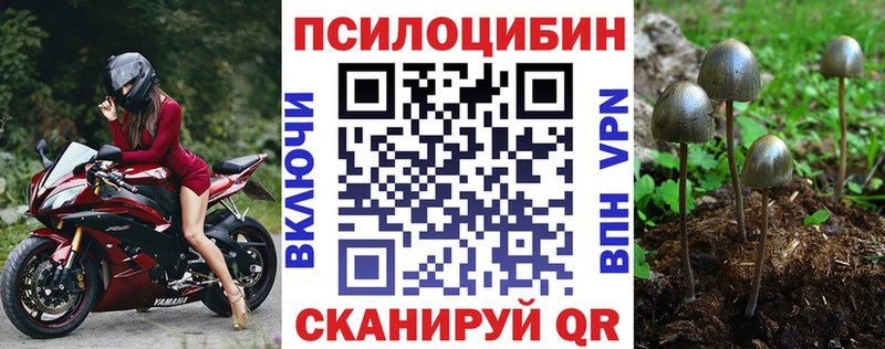 Галлюциногенные грибы ЛСД  Купить где  Высоцк 